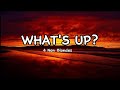 What's Up? by 4 Non Blondes (Lyrics)