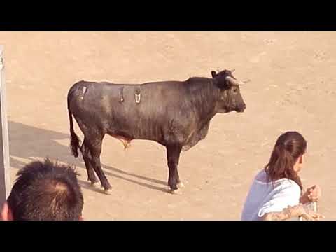 ESPECTACULAR ENCIERRO MAJADAHONDA 2018.