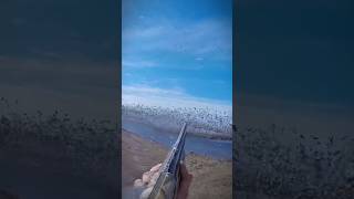 1,000 Snow Geese Roost Jump Solo Hunt Madness