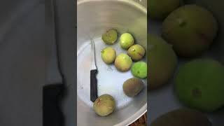 Ntsis K Muas - De Txiv Cev Nyeg Tom Tog Tsev Los Noj Qab Kawg Li, 82019.