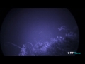 Amazing UFO Formation! Massive Night Vision UFO activity, July 2014