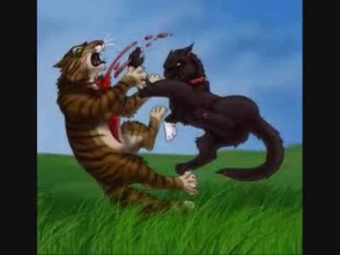 Warrior Cats~Scourge ´s story - YouTube