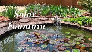 Solar Pond Fountain🌞CONXWAN Battery Back-up Water Feature, Pond, Bird Bath👈