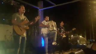 Vevinos