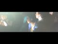 I Cani - Perdona e dimentica (official pop up video)