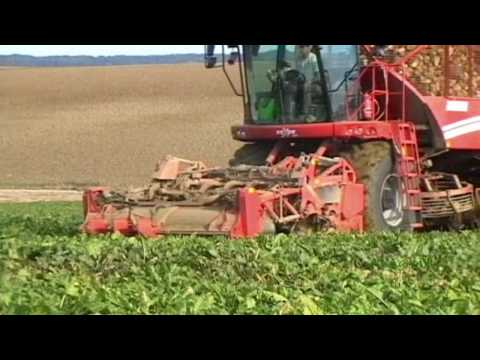 GRIMME Rexor 620 à l'arrachage des betteraves en 2009 dans les Ardennes (in France) GRIMME Rexor 620 à l'arrachage des betteraves en 2009 dans les Ardennes (in France) klip izle