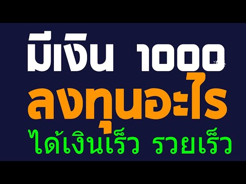 มีเงิน 1000 ลงทุนอะไรดี 2564 ลงทุนอะไรดี 2021 ธุรกิจน่าลงทุน 2564 ธุรกิจที่น่าลงทุนปี 2564