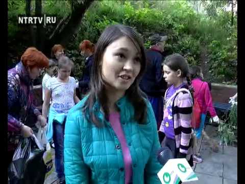 Сценарий чистые родники Сценарий чистые родники