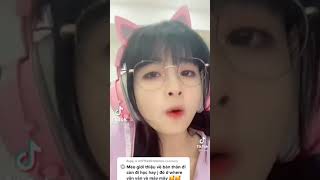 Tiểu Sử Mèo 2K4