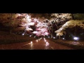  毘沙門堂の紅葉-ライトアップ
