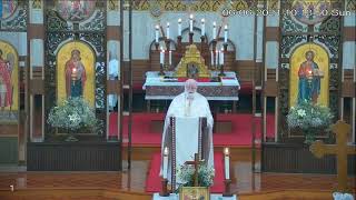 Sunday of the Man born Blind. John 9:1 – 38 | Homily by Fr. Brian Kelty