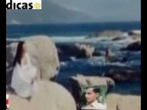 Aankh hi na roi hai dil bhifemale.