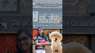 Pet's ku dresssa😳|Heads-up for Tails pet store and SPA in chennai Beasant nagar 