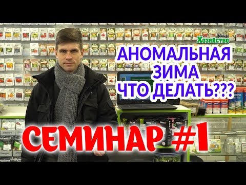 Что посадить на огороде удобрение Что посадить на огороде удобрение