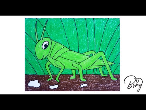 Vẽ Châu Chấu (Cào Cào) - Draw a Grasshopper - Hướng dẫn bé tập vẽ