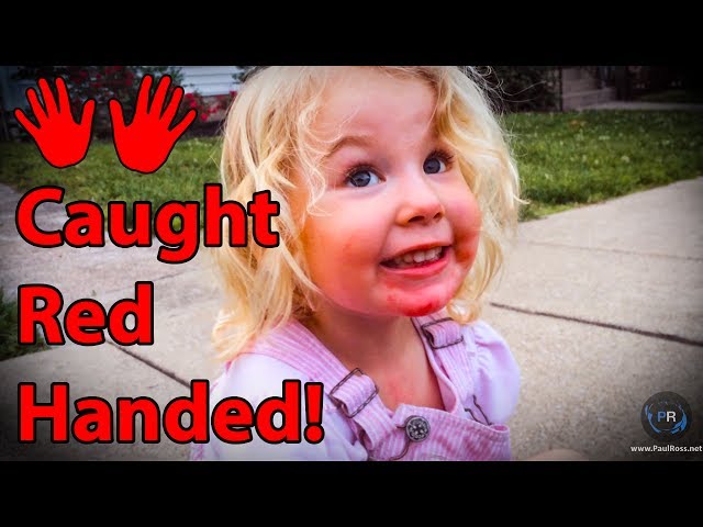 Cute Kid Caught Red Handed - Video