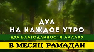 Дуа Для Исполнения Желаний В Месяц Рамадан Ин Шаа Аллах! Слушай Коран.