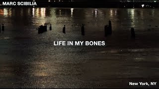 Watch Marc Scibilia Life In My Bones video