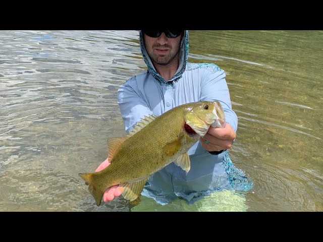 Watch Ask an Angler: Virtual Fishing Course (Summer Clear-Water Streams Wet Wading Fishing Tips) on YouTube.