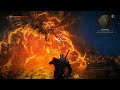 The Witcher 2 Assassin of KIngs Harpy Queen Battle (Insane) 3