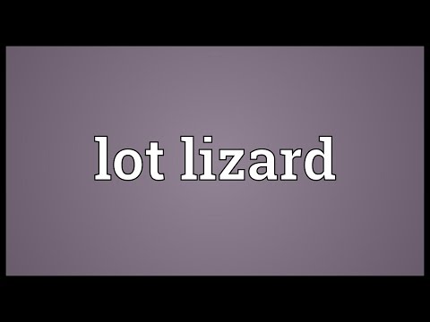 Lot meaning in forex