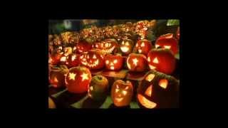 Watch Bob Rivers Pumpkins To Toss About video