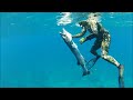 SPEARFISHING GREAT BARRACUDA (KAKU) klip izle