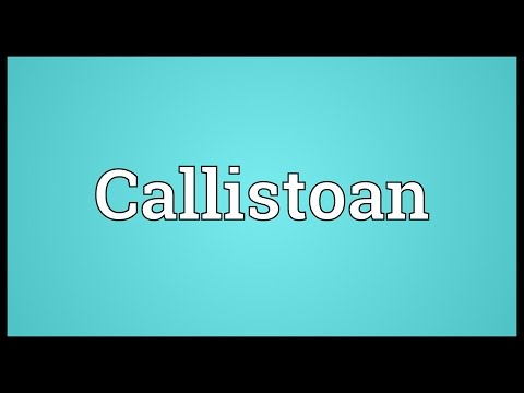 Header of callistoan