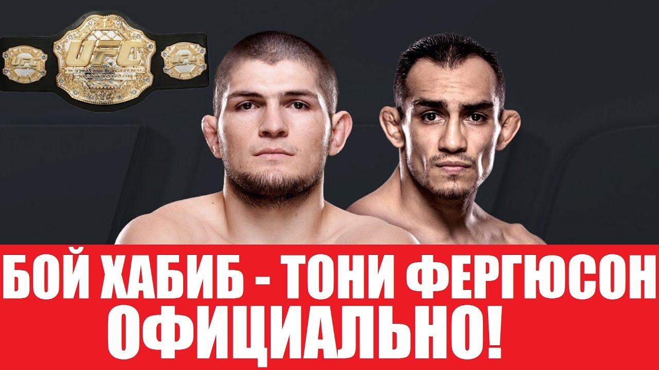 Бой хабиба и фергюсона 2018 дата Бой хабиба и фергюсона 2018 дата