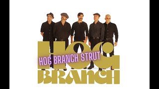 "Hog Branch Strut" by Hog Branch: Live at Ice Cream Factory Studio in Austin