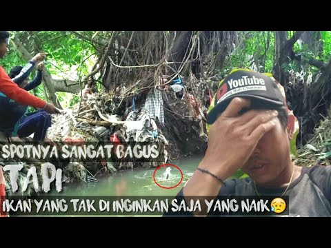 mancing di spot ini yang naik kebanyakan ikan dugong 😰