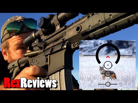 ULTIMATE VARMINT SCOPE: Primary Arms 1-6x24 ACSS PREDATOR Full Review ~ Rex Reviews