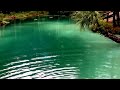 Live Merman swimming in lagoon sighting footage