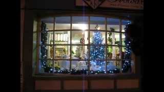 Howards Flower Shop - St. Albans, Vermont - Christmas window I did 2010