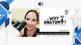 Podcast ...Why Anatomy ? | Episodio #5 | Entrevista a la Dra. Marina Ondarza Rodríguez