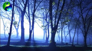 New Age Music; Relaxing Music: Musica New Age; Restful Music; Relaxation Music; Instrumentals; 🌅