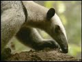 Есть, единственное место в мире