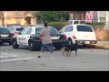 Cops Shoot Kill Dog Cringe Inducing Caught On Tape Shooting images Cops Shoot Kill Dog Cringe Inducing Caught On Tape Shooting