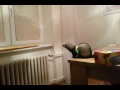 Ferret jump fail