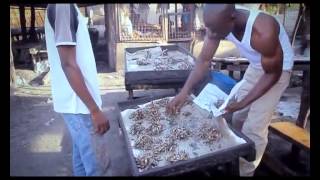 Dibo -Nitashinda Ft Ochu Official Video