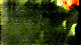 Watch Nausea Mtv feeding The Fortune 500 video