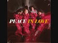 PEACE ~ Drain