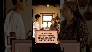 Tavuk Mu Yumurtadan Çıkar Yumurta Mı Tavuktan?