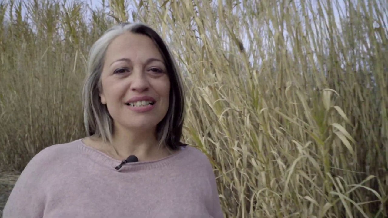 GUARDA I MIEI VIDEO LETTURE DEI REGISTRI AKASHICI