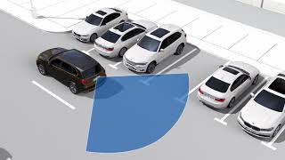 Surround View Camera