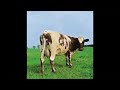 Atom Heart Mother Video preview