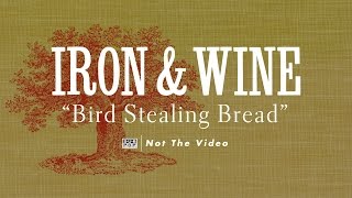 Watch Iron  Wine Bird Stealing Bread video