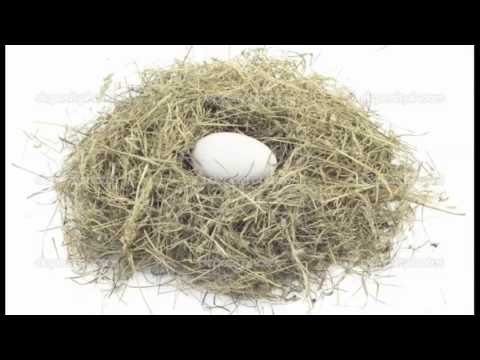 The Physics Song - Parody of The Lazy Song