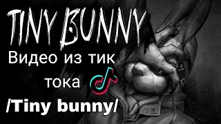 ✨Подборка Видео Из Тик Тока Tiny Bunny/16 Минут/😲