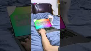 First Tempo Video Cat Bites Klasky Csupo Effects 1 Screen